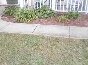 Weeding by Xavier Monroe for Lamar S. in Charlotte, NC
