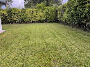 Cleanups by Kenneth Swayne Jr for Matthew N. in Miami, FL