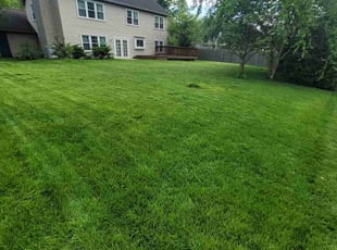 Felix A.'s Lawn Maintenance service result