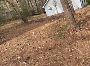 Leaf Removal by Bobbyp Goggins for Sheila C. in Ellenwood, GA