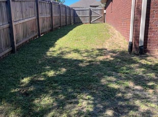 David O.'s Lawn Care service result