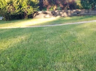 Steve S.'s Grass Cutting service result