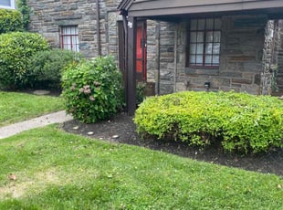 Bush Trimming by Jhon Reyes for David T. in Drexel Hill, PA