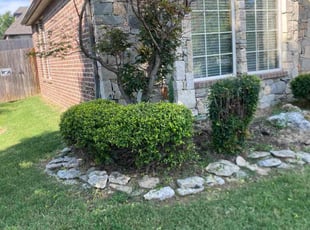 Bush Trimming by Joey Handley for Siqian L. in Tulsa, OK