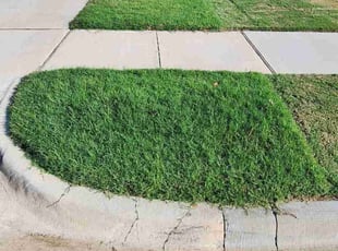 Cedric I.'s Lawn Maintenance service result