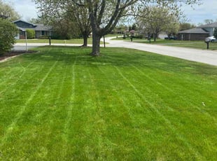 Marsha T.'s Lawn Mowing Service service result