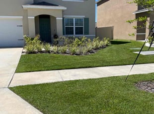 Sydney M.'s Lawn Mowing service result