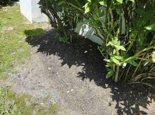 Weeding by Jose Gonzalez for Osei Poku A. in Bowie, MD
