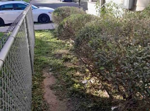 Bush Trimming by Warren Thomas for Deandre W. in New Orleans, LA