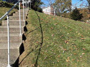 David F.'s Yard Cutting service result