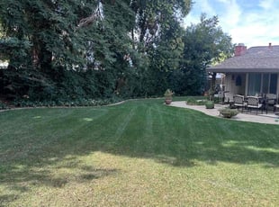 Milche Q.'s Lawn Mowing service result