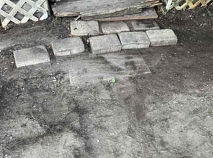 Cleanups by Devin Bunch for Jackson P. in Lakeland, FL