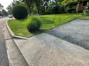 Bush Trimming by Fidel Rodriguez for Michael D. in West Springfield, VA