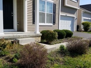 Bush Trimming by Mike Trovato for Hari D. in Blacklick, OH
