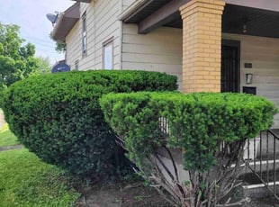 Bush Trimming by Lawrence Tischler for Mary P. in Middletown, OH