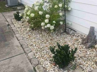 Weeding by Enrique Juarez for Shane D. in Canton, GA