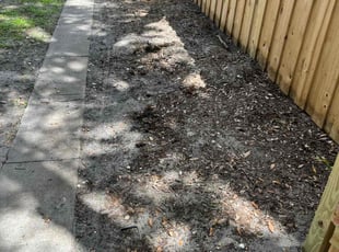 Leaf Removal by Tony Sampson for Anthony J. in Tampa, FL