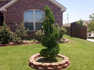 Bush Trimming by Branden Scott for Richard S. in Arlington, TX