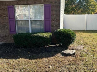 Bush Trimming by Dustin Janes for Nikeeta M. in Concord, NC