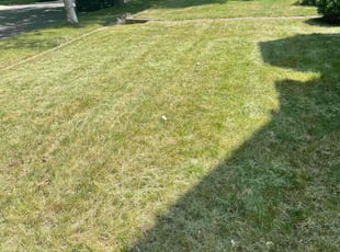 Bush Trimming by Jake Bielski for Jay D. in Zion, IL