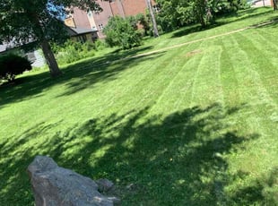 Joshua M.'s Grass Cutting service result