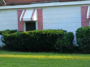 Bush Trimming by Jeffrey Handy for Joyce G. in Augusta, GA