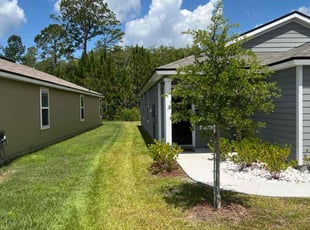 Megan T.'s Yard Cutting service result
