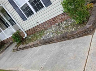 Bush Trimming by Bobby Jefferson for Jacob H. in Jacksonville, NC