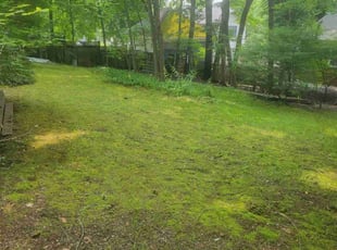 Cleanups by Kevin Goodick for Brian U. in Winchester, MA