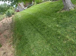 Charles K.'s Yard Cutting service result