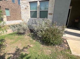 Bush Trimming by Angel Olivares for Michael C. in San Antonio, TX