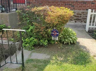 Bush Trimming by Marvin Simmons for Ramzi G. in Philadelphia, PA