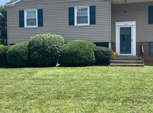 Bush Trimming by David Featherstone for Teresa P. in Odenton, MD