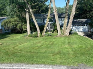 Phyllis T.'s Lawn Maintenance service result