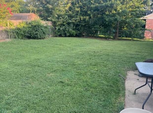 Ann H.'s Grass Cutting service result