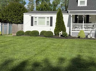 Bush Trimming by Jose M Rodriguez for Tammy C. in Alexandria, VA