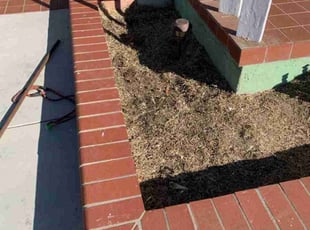Weeding by Luis Barrios for Brendan W. in Santa Ana, CA