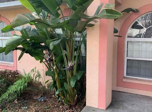 Bush Trimming by Tammy Melendez for Youbel M. in Lakeland, FL