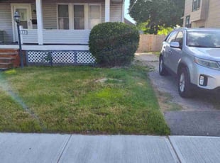 Bush Trimming by Rayshawn Martin for Tiara S. in Cleveland, OH