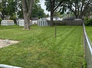 Weeding by Brandon Rachas for Derwin D. in Roseville, MI