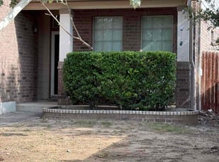 Bush Trimming by Juan Vazquez for LeTrell T. in San Antonio, TX