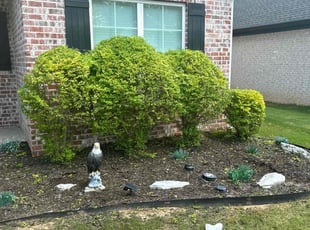 Bush Trimming by Jonathan Cravens for Imran A. in Benton, AR