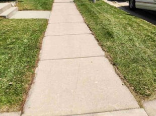 Anita A.'s Lawn Maintenance service result