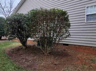 Bush Trimming by Victor Gaspar for Josh R. in Huntersville, NC