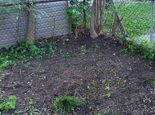 Cleanups by Damond Merridith for Jake D. in Florissant, MO
