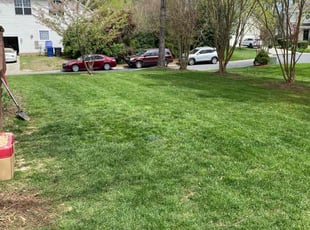 Carrie D.'s Lawn Service service result