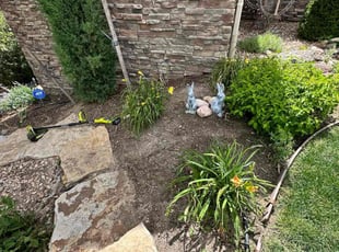Weeding by Santana Fernandez for Ronna P. in Castle Rock, CO