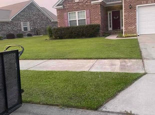 Bush Trimming by Don'Trayvis Vaught for Keisha M. in Conway, SC