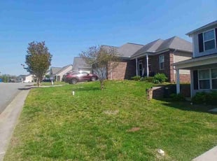 Matthew B.'s Lawn Care service result