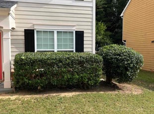 Cleanups by Phillip StPreuve for Inna S. in Lawrenceville, GA